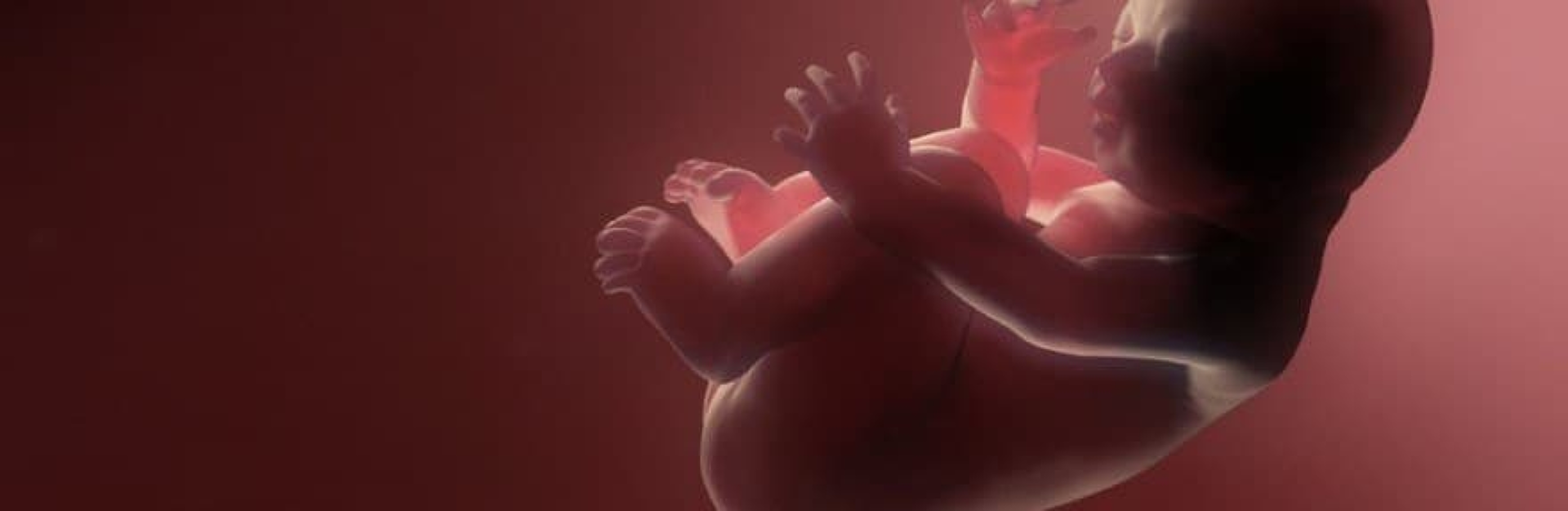Les effets de l'alcoolisme sur le foetus